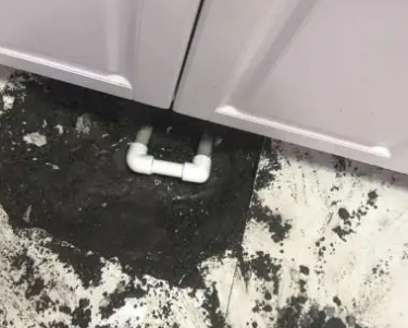 海棠查漏水哪家好