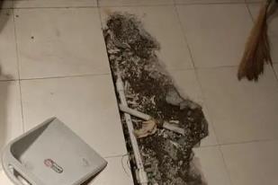 海棠卫生间漏水检测电话
